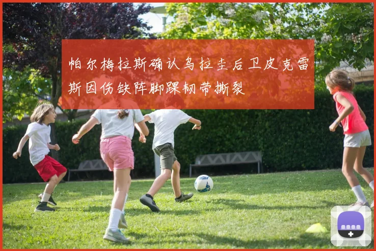 帕尔梅拉斯确认乌拉圭后卫皮克雷斯因伤缺阵脚踝韧带撕裂